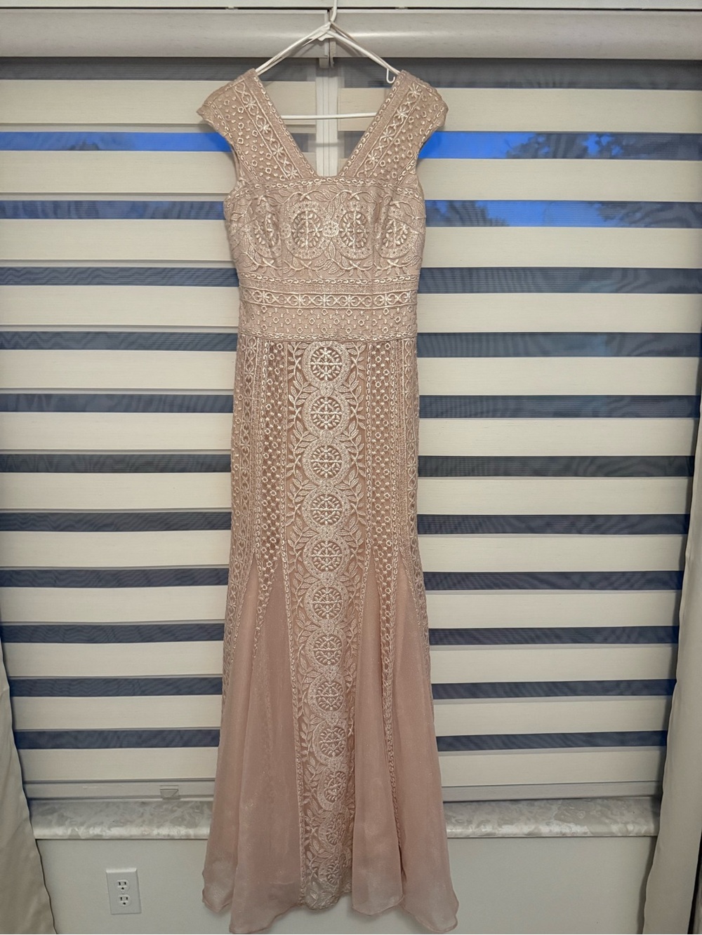 Kay Unger Blush Lace Embellished Maxi Dress